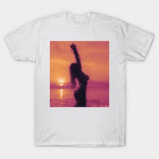 Sun down 9 2 blaze T-Shirt